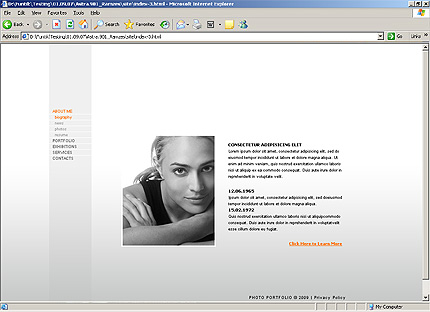Website Template #23226