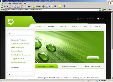 Website Template #23250
