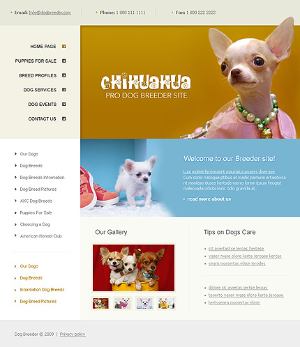 Website Template #23261