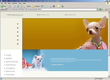 Website Template #23261