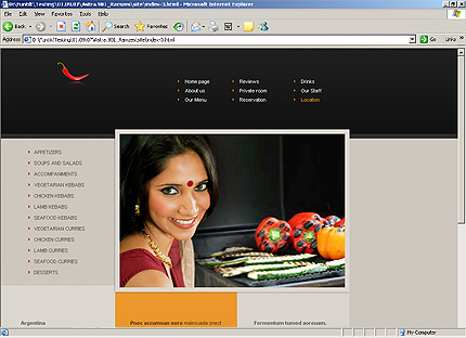 Website Template #23262