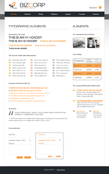 Website Template #23266