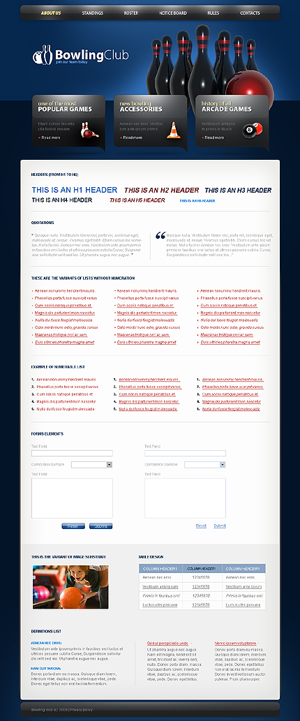 Website Template #23267
