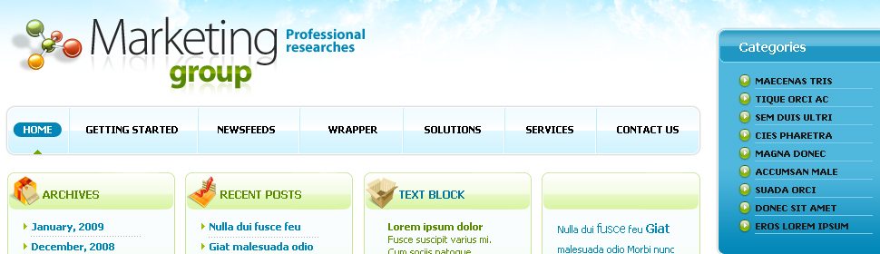Website Template #23279