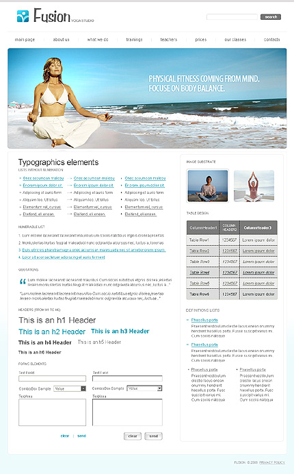 Website Template #23303
