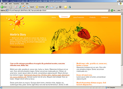 Website Template #23364