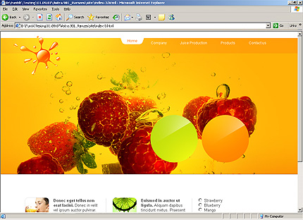 Website Template #23364