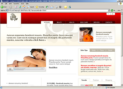 Website Template #23387