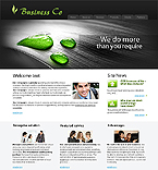 Turnkey Website #23398