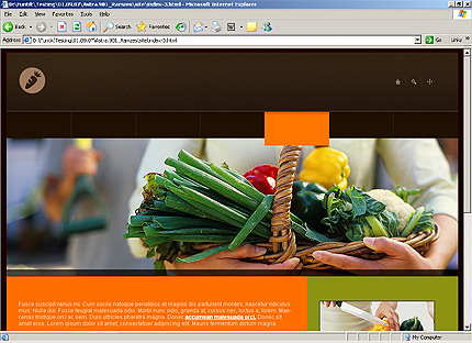 Website Template #23426