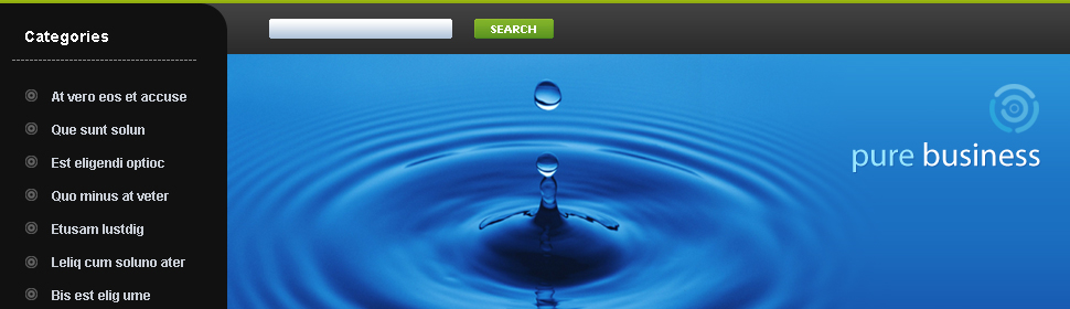 Website Template #23511
