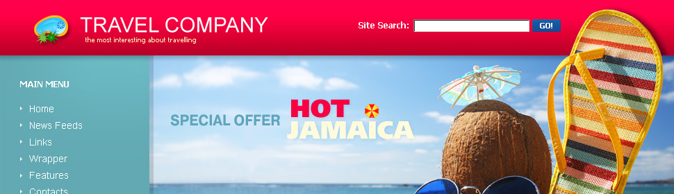 Website Template #23558