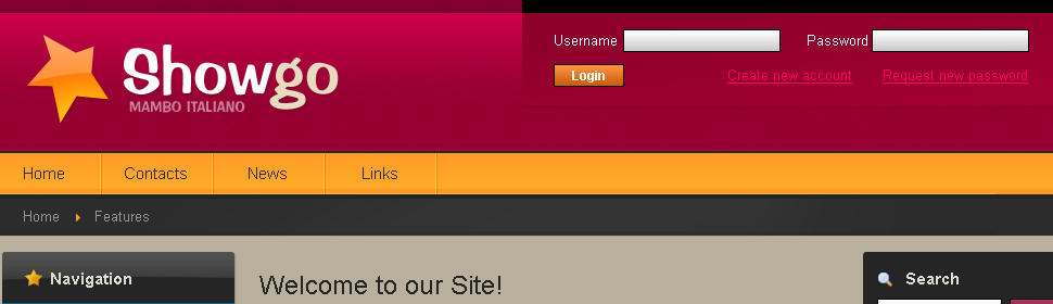 Website Template #23578