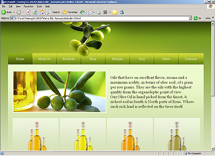 Website Template #23647