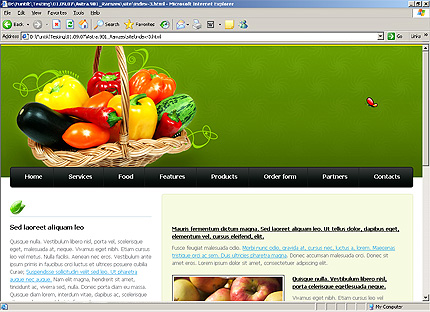 Website Template #23650