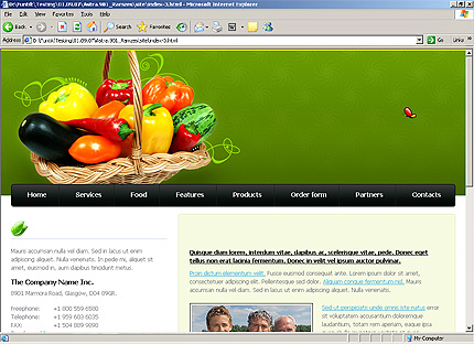 Website Template #23650