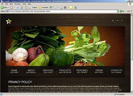 Website Template #23722