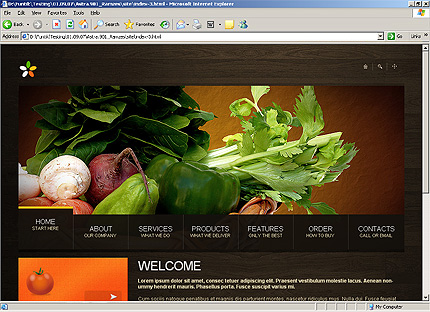 Website Template #23722
