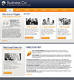 Turnkey Website #23790