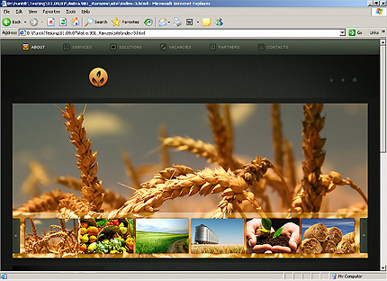 Website Template #23837