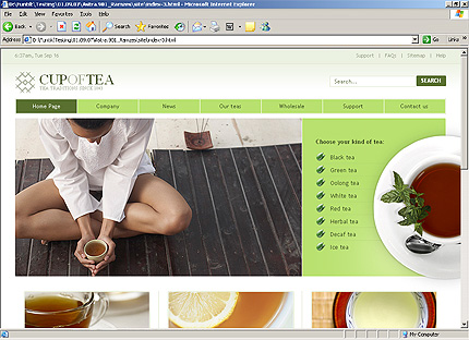 Website Template #23880