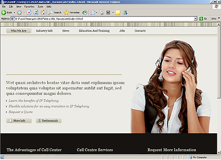Website Template #23967