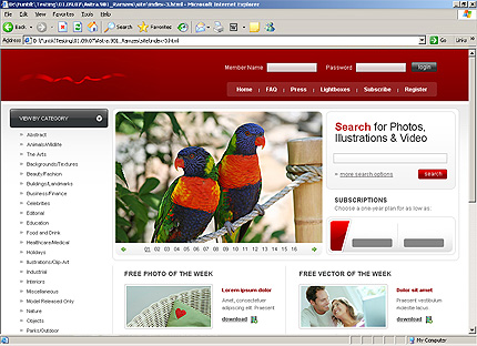 Website Template #23972