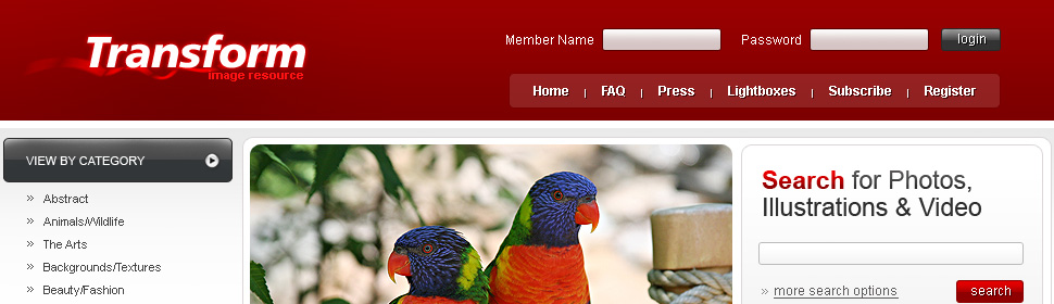 Website Template #23972