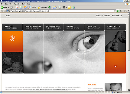 Website Template #24008