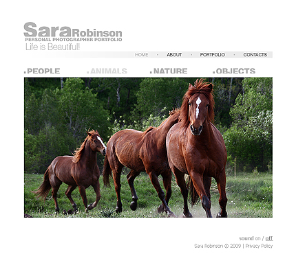 Website Template #24046