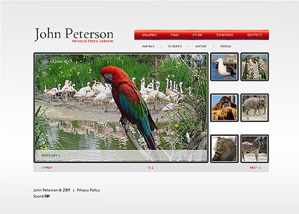 Website Template #24051