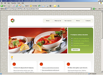 Website Template #24057