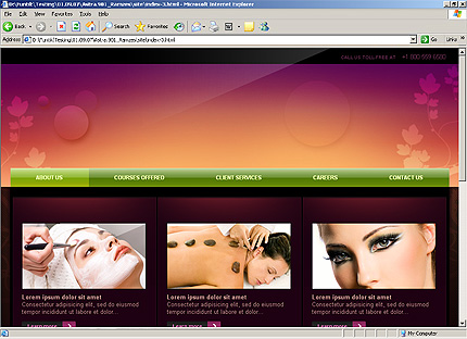 Website Template #24079