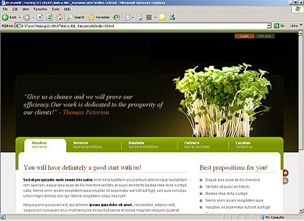Website Template #24159