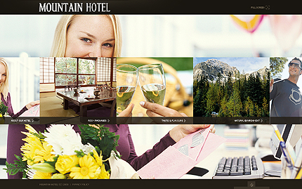 Website Template #24188