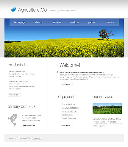 Website Template #24194