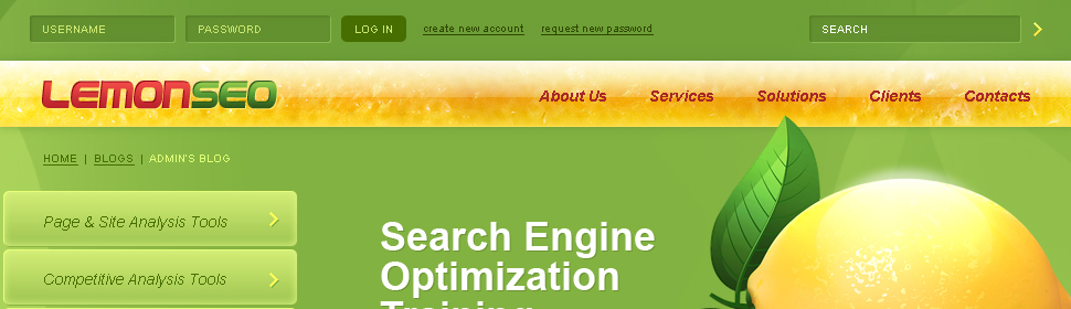 Website Template #24209