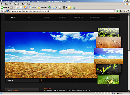 Website Template #24214