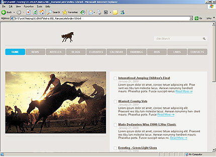 Website Template #24215