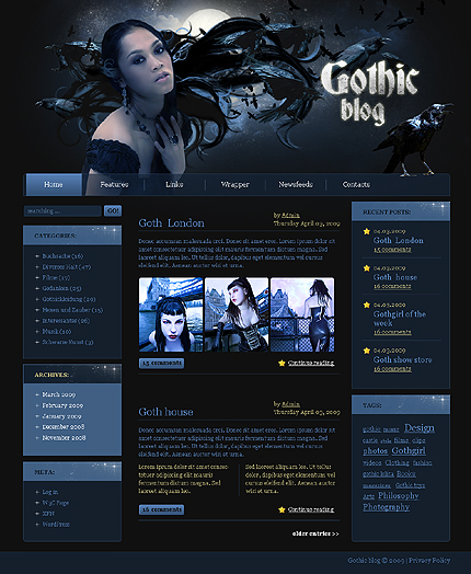 Website Template #24283