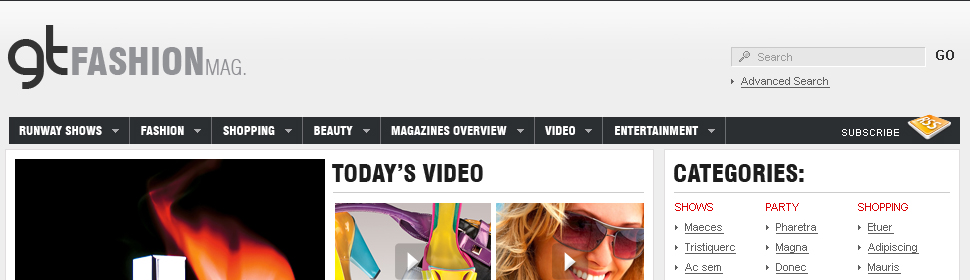 Website Template #24314