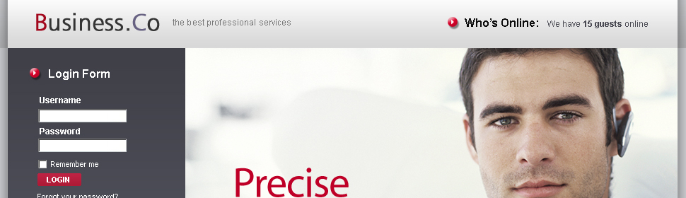 Website Template #24399