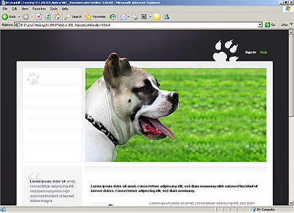 Website Template #24465