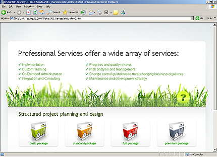 Website Template #24488