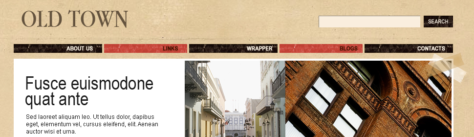 Website Template #24503