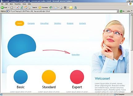 Website Template #24541