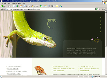 Website Template #24564