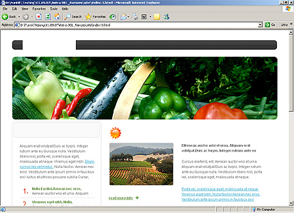 Website Template #24568