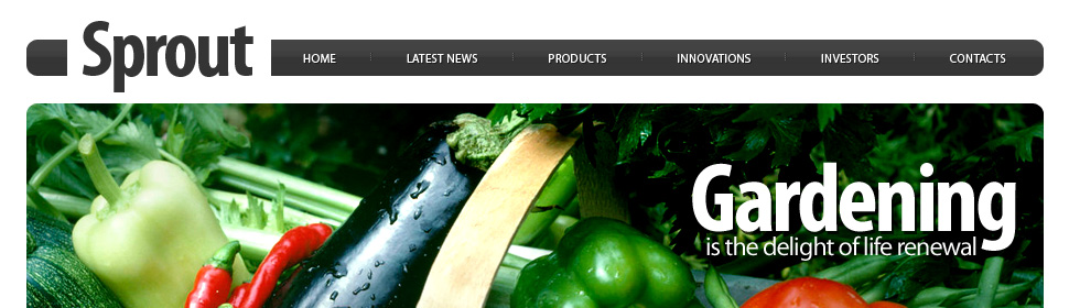Website Template #24568