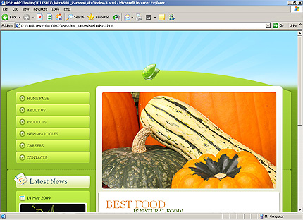 Website Template #24605